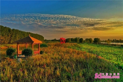 萬畝荷花 碧波蕩漾,微山湖旅游區被確定為5A級旅游景區!