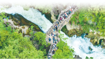 以園區為支點，精準服務與融入新發展格局